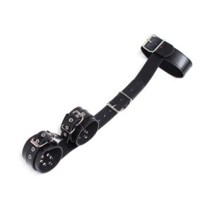 Adjustable Collar with Restraints från .