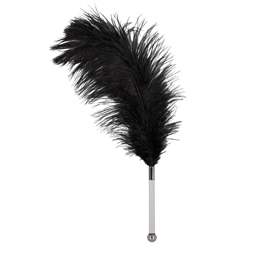 Bad Kitty - Feather Tickler från .
