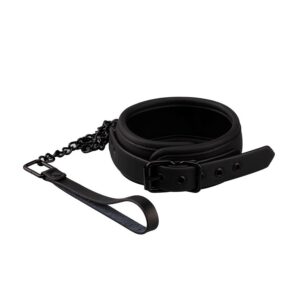 Collar & Leash - Vegan Leather från .