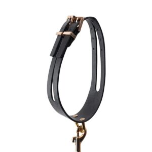 GP Premium Collar & Leash Set från .