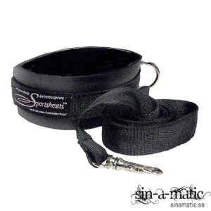 Koppel & halsband  från .