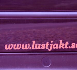 LUSTJAKT Sticker black från Lustjakt.